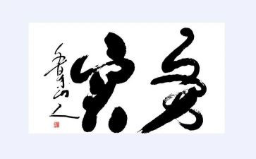 社会服务实践活动心得体会5篇