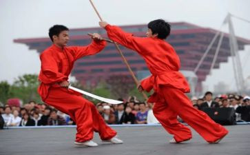 区武术工作总结8篇