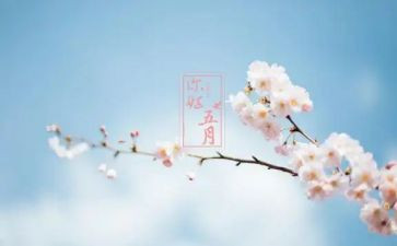 幼儿园中班五月工作计划7篇
