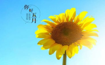 2024年五月份工作总结优秀7篇