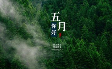幼儿园五月份工作计划优秀5篇