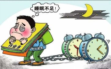 无作业日活动总结8篇
