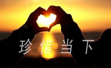 朝花惜拾心得体会优质6篇