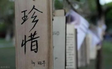 珍惜的教案7篇