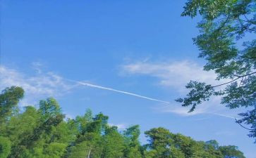 夏天的雨中班教案7篇
