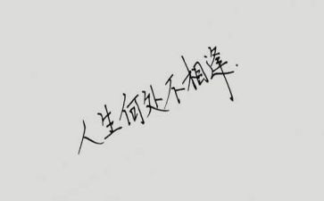 与书相逢作文优秀8篇