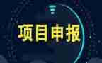 项目年终总结2023范文通用6篇