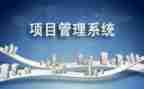 项目管理组年终总结参考5篇