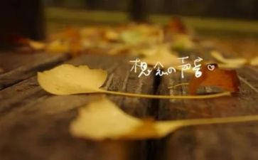 我想念的人作文优秀5篇