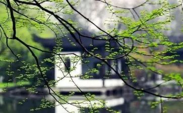 想起她作文模板5篇