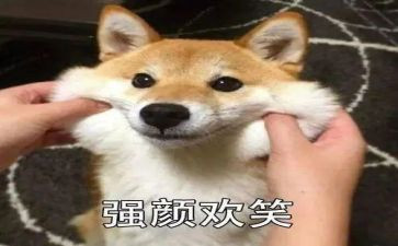 作文我笑了600字作文6篇