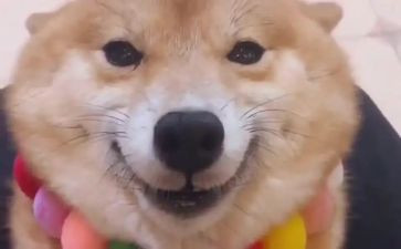 主题是微笑的作文600字7篇