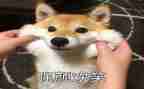 笑作文600字通用7篇
