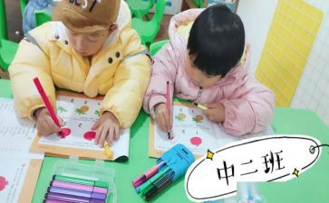 幼儿园托小班安全总结8篇
