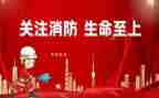 消防日活动总结精选7篇