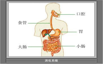 消化科述职报告5篇