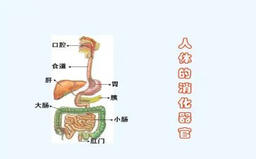 消化内科个人总结8篇