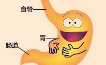 消化科护理工作总结5篇