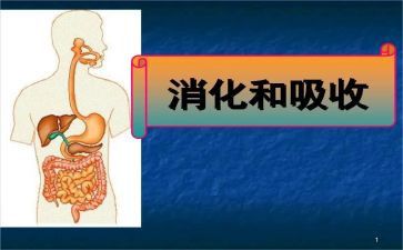 消化科医生述职报告6篇