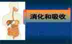消化内科的自我鉴定8篇