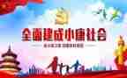 2024小康社会心得体会最新6篇