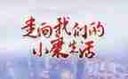 村小康工作总结6篇