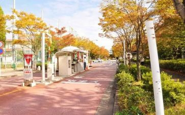 学校内自我鉴定8篇