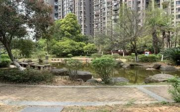 小区环境环境调查报告6篇