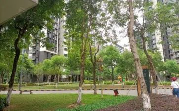小区环境差调查报告5篇
