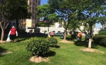 小区物业合同模板6篇