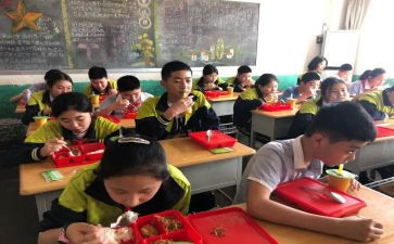 小学生毕业活动方案6篇