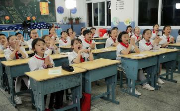 小学校长工作总结个人总结7篇