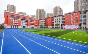 校园体育节活动方案7篇