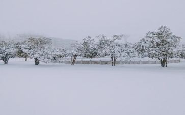 下雪了作文优秀5篇
