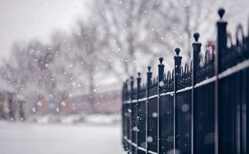 下雪米作文参考5篇