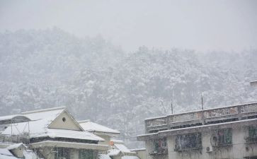下雪时的作文400字7篇