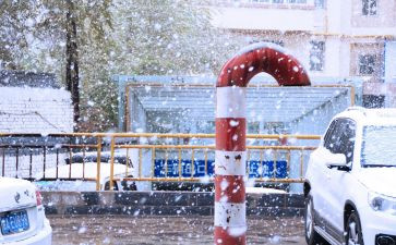 下雪了教案通用6篇