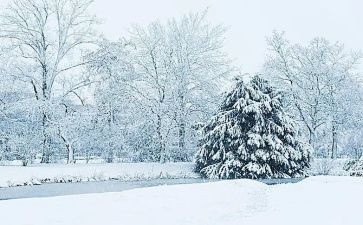下雪米作文优质6篇