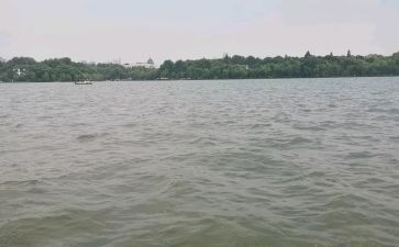 西湖春游作文7篇