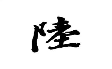 姓陆的调查报告优质5篇