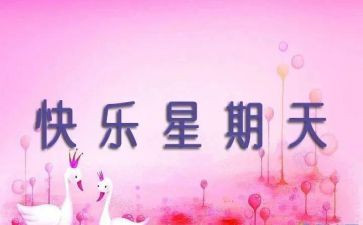 写那个星期天的作文6篇