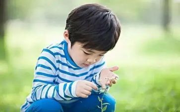 小学兴趣课活动方案7篇