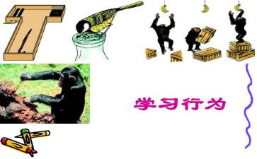 违反教师道德行为处理办法心得体会优秀6篇