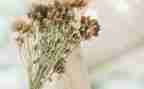 我心目中的他作文300字6篇