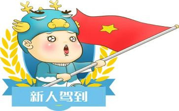 新人个人年终总结5篇