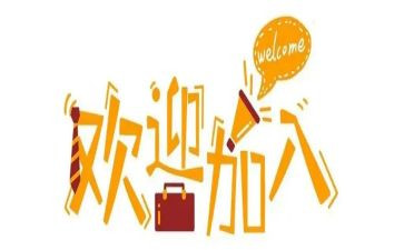 2024年新人年终总结5篇