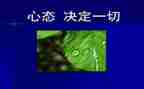 阳光心态演讲稿模板7篇