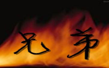 兄弟的心得体会7篇