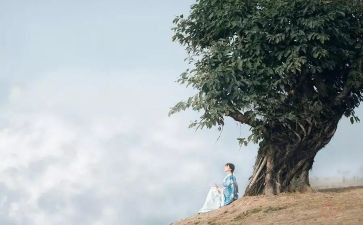 教师修养心得7篇