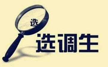 选调生到村工作总结5篇
